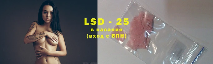 шишки Краснослободск