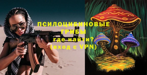 не бодяженный Краснотурьинск