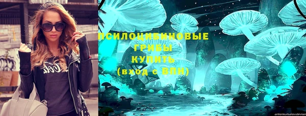шишки Краснослободск