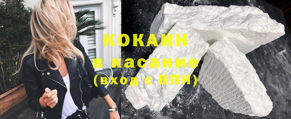 шишки Краснослободск