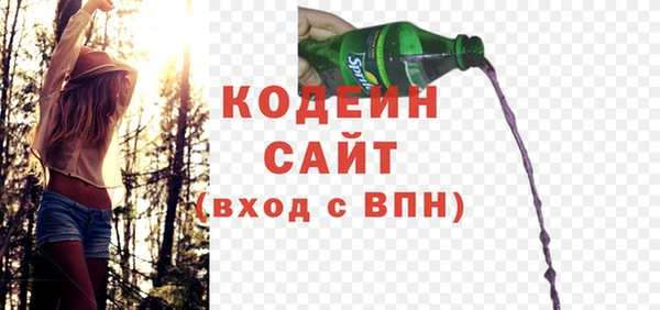 шишки Краснослободск